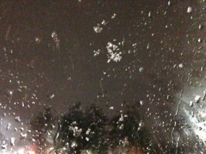 IMG_0656.jpg