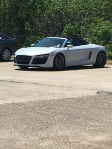 Spyder.jpg