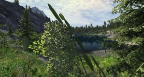 screenshot_00036.jpg