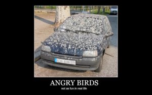 Angry-Birds-Car-Meme.jpg