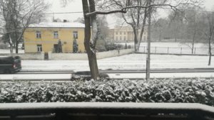 IMG_20181118_142910.jpg