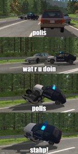 polisss.jpg