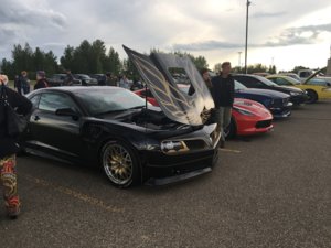 IMG_1019.jpg