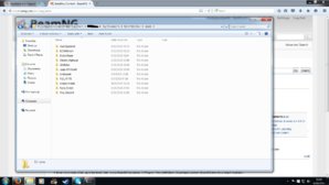 BeamNG Mods Folder Screenshot.jpg