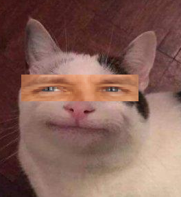 g.png