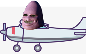 pilotcessny.png