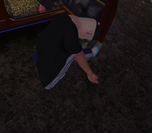 fsf.jpg