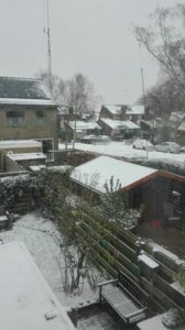 IMG_20181218_123610.jpg