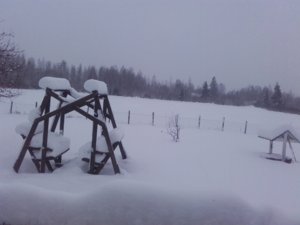 20190102_101653.jpg