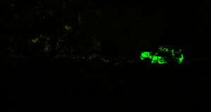 screenshot_00136.png