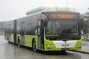 44311659512_bafcded899_b.jpg