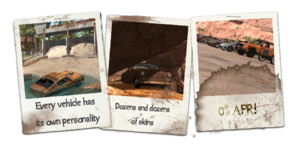 dwffpolaroid2.png