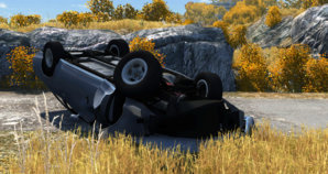 dumped.jpg