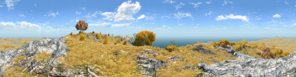 smallIsland.jpg
