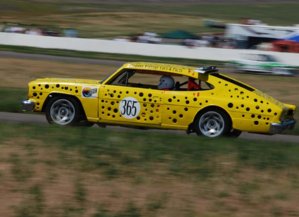 marlin_racing-800px.jpg