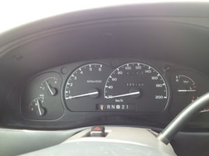 IMG_0036[1].JPG