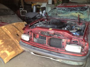 IMG_0161[1].JPG