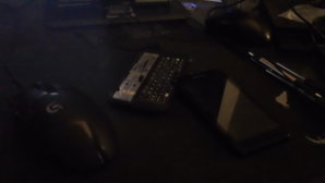 DSC01265.JPG