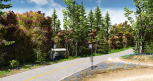 screenshot_2019-02-01_18-55-17.png