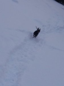 20190118_161723.jpg