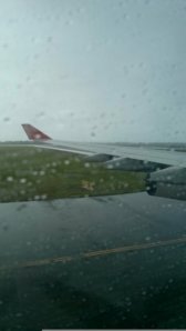 IMG_20150723_064518.jpg