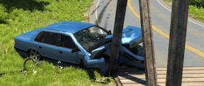 beamNG2.png
