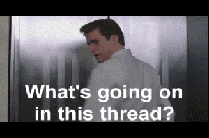 giphy (3).gif