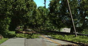 screenshot_2019-03-08_15-19-24.png