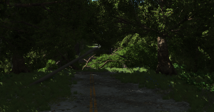 screenshot_2019-03-11_02-53-00.png