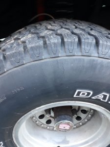 20190317_1803091.jpg