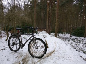 IMG_20180303_145342.jpg