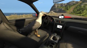 gull-driver.jpg