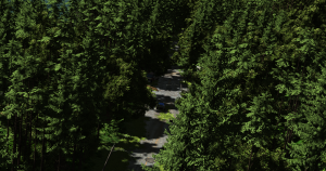 screenshot_2019-04-05_21-34-21.png