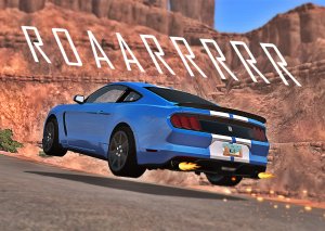 shelby.jpg