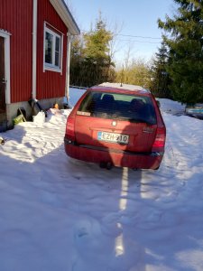 IMG_20190213_151529.jpg