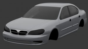 maxima4.jpg
