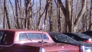 IMG_20190417_161746.jpg