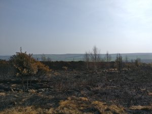 IMG_20190418_112751.jpg