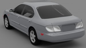 maxima10.jpg