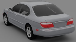 maxima11.jpg
