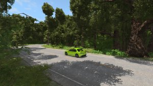 Forest.jpg