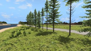 RoadsideTrees.jpg