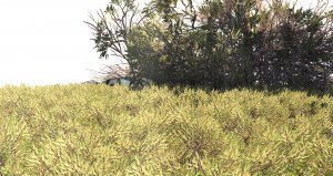 screenshot_2019-04-24_17-15-11.jpg