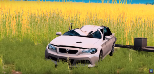 rip.png