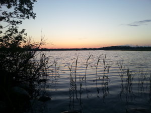 20150622_025010.jpg