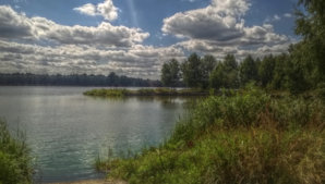 WP_20150726_14_00_02_HDR_Pro.jpg