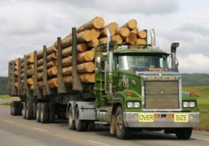 Logging_truck.jpg