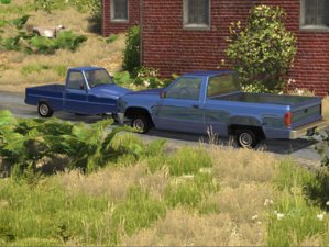 Pickup pigeon.jpg