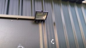 IMG_20190511_211604136.jpg