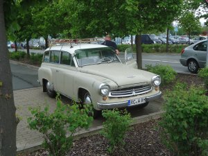 DSC03750.jpg
